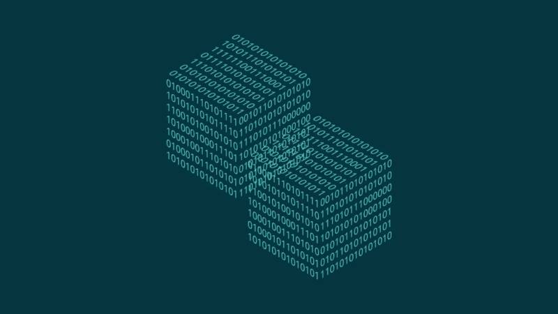 金口河区信创改造:网络应用开发流程标准化的核心路径与实践